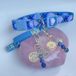 Sagittarius Pet Charm